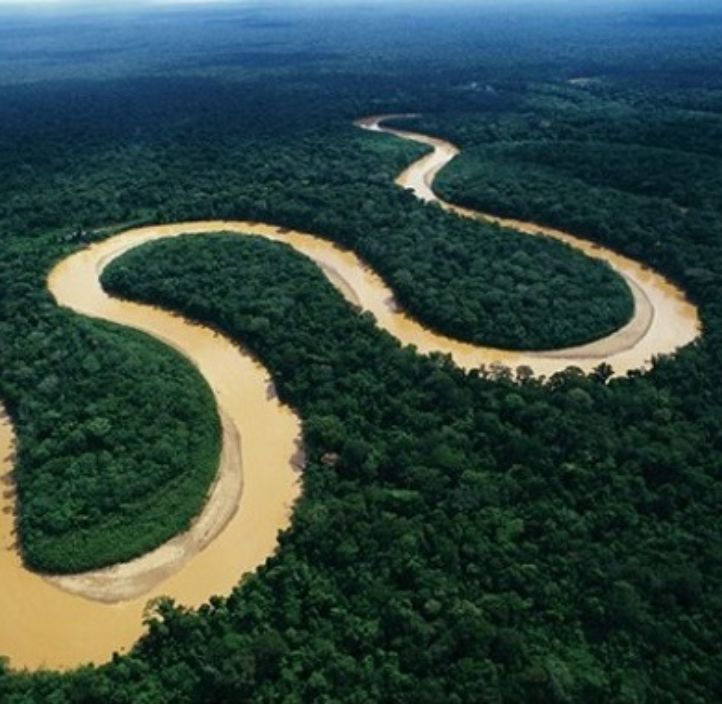 Selva Amazónica